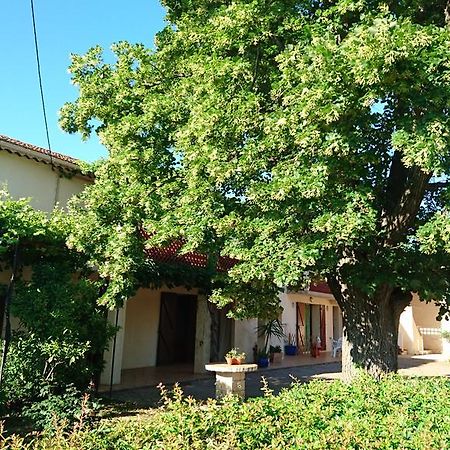 Maison d'hôtes Les prairies Mas Roux à Raphèle Extérieur photo