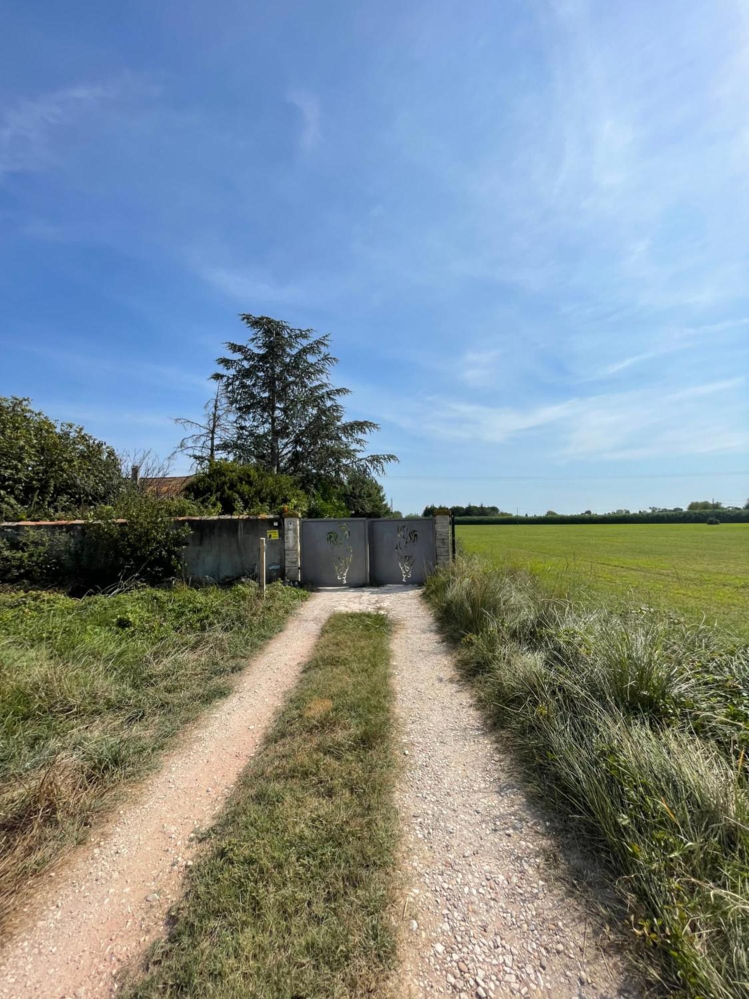 Maison d'hôtes Les prairies Mas Roux à Raphèle Extérieur photo