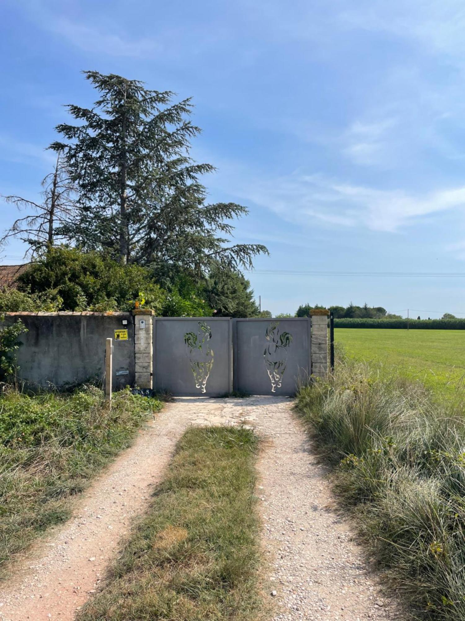 Maison d'hôtes Les prairies Mas Roux à Raphèle Extérieur photo
