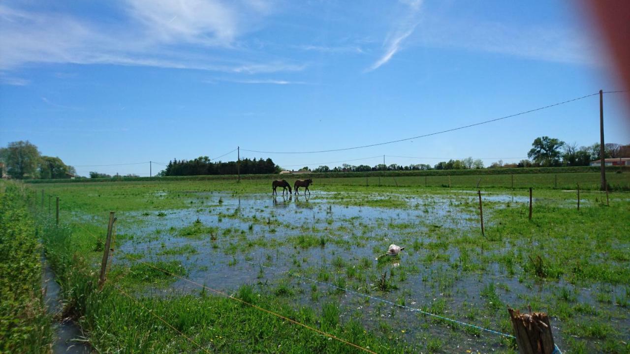 Maison d'hôtes Les prairies Mas Roux à Raphèle Extérieur photo